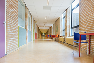 Schools, Tafes & Universites